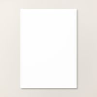 Basic White A4 Cardstock [ 166781 ]